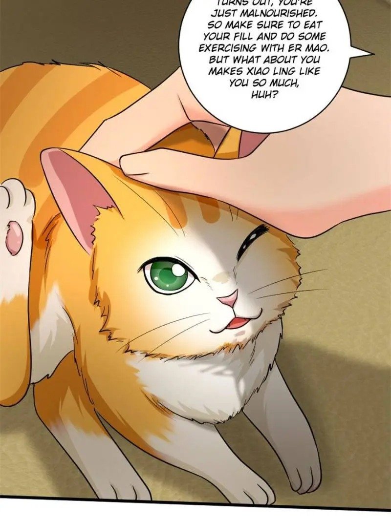 Page 29 of Chapter 187