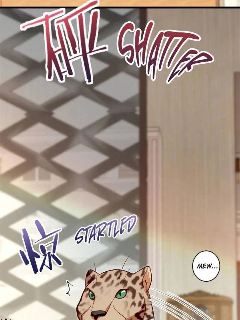 Page 35 of Chapter 187