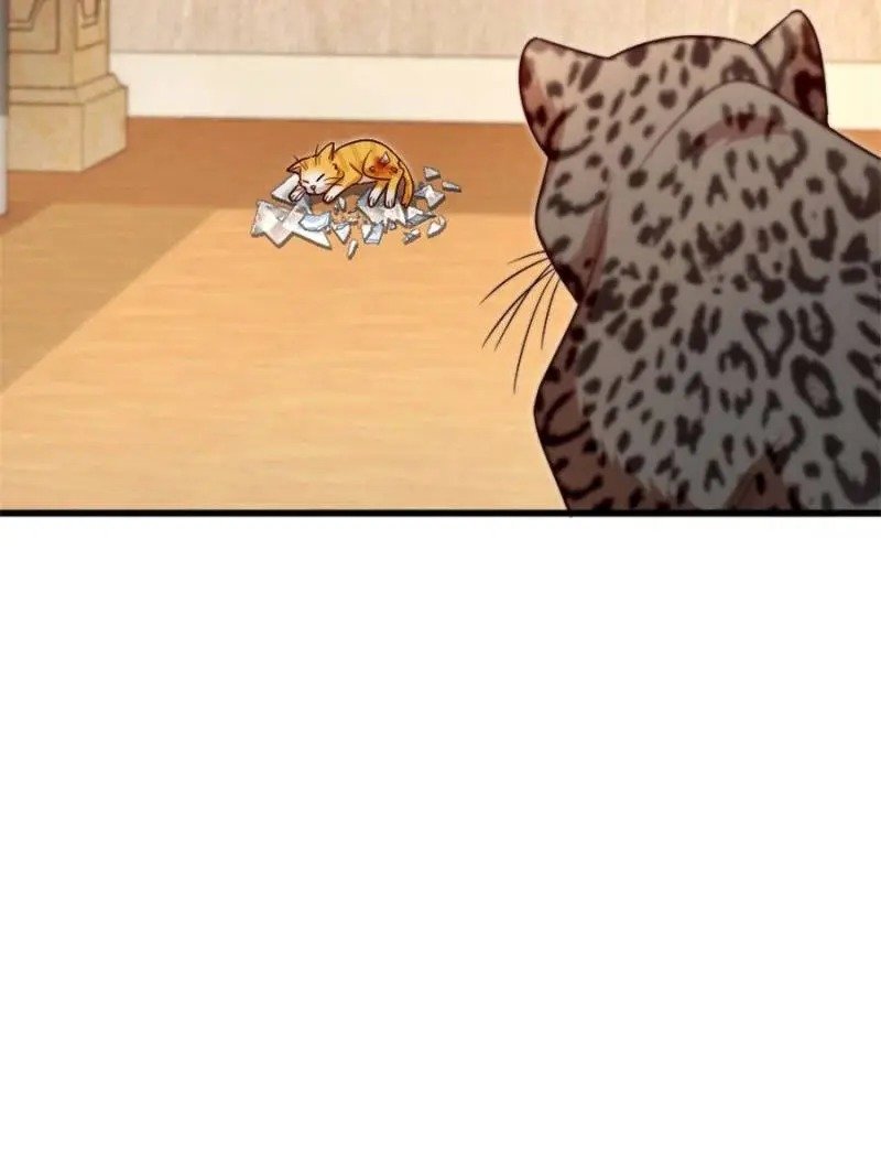Page 38 of Chapter 187