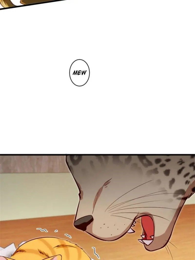 Page 41 of Chapter 187