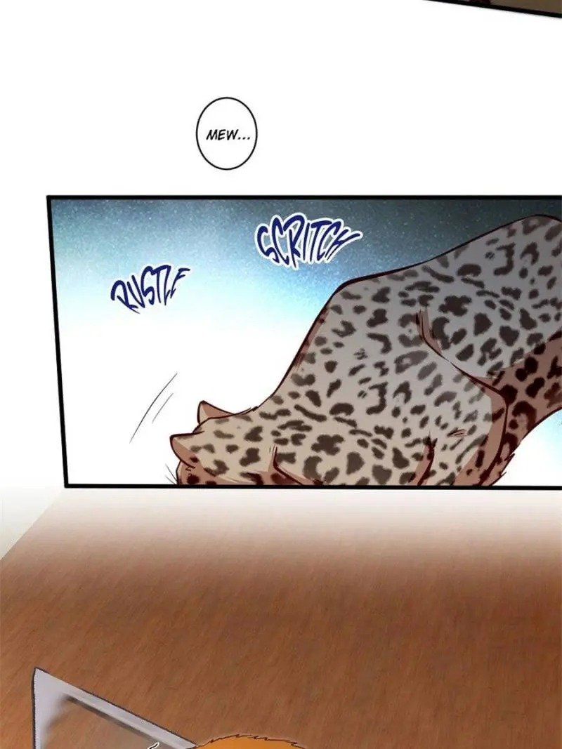Page 43 of Chapter 187
