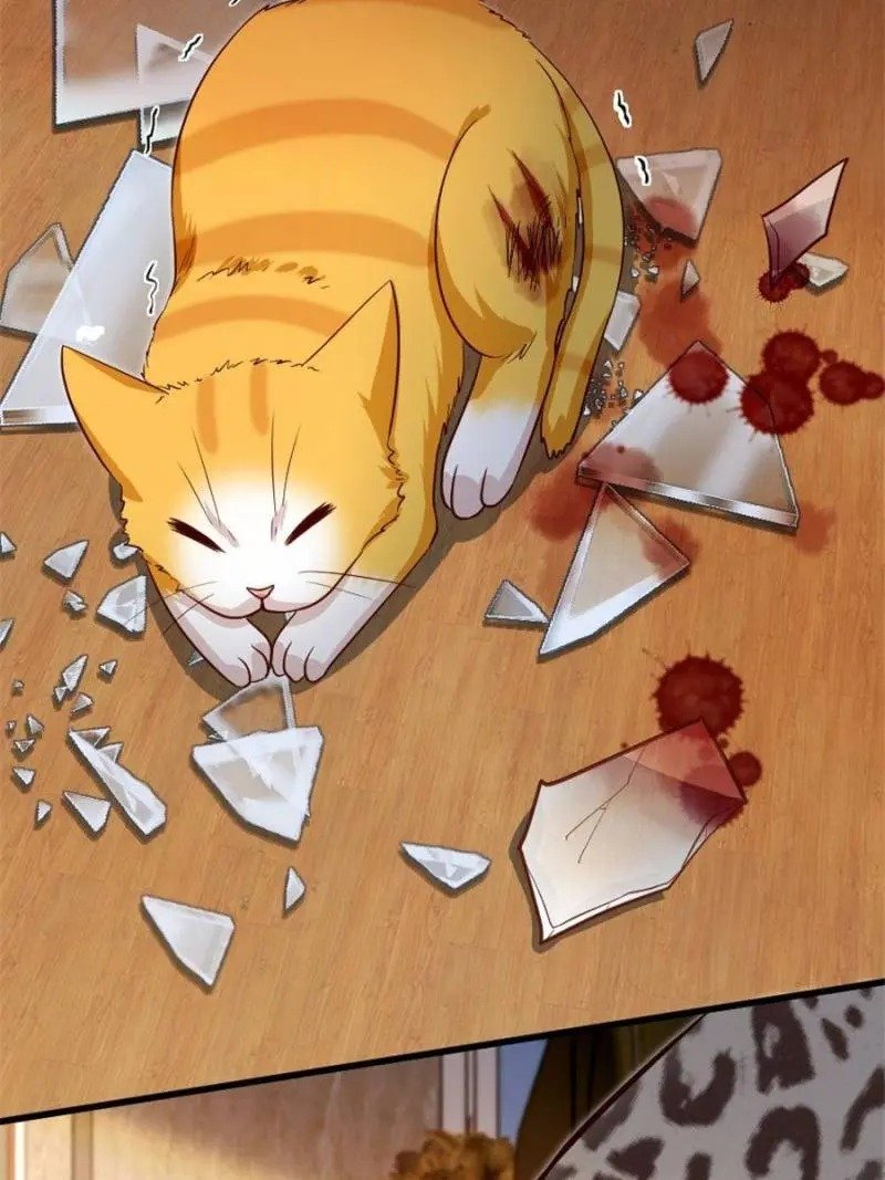 Page 44 of Chapter 187