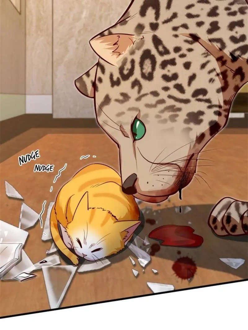 Page 46 of Chapter 187
