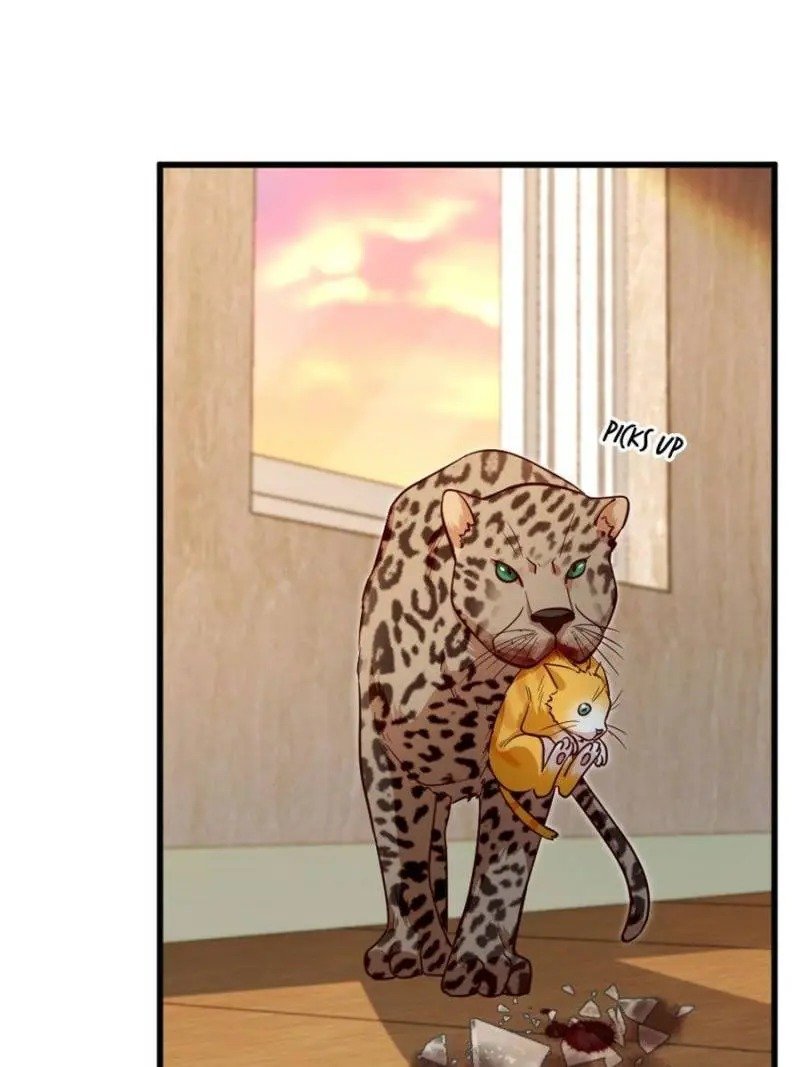 Page 47 of Chapter 187