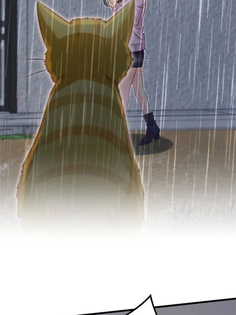 Page 55 of Chapter 187