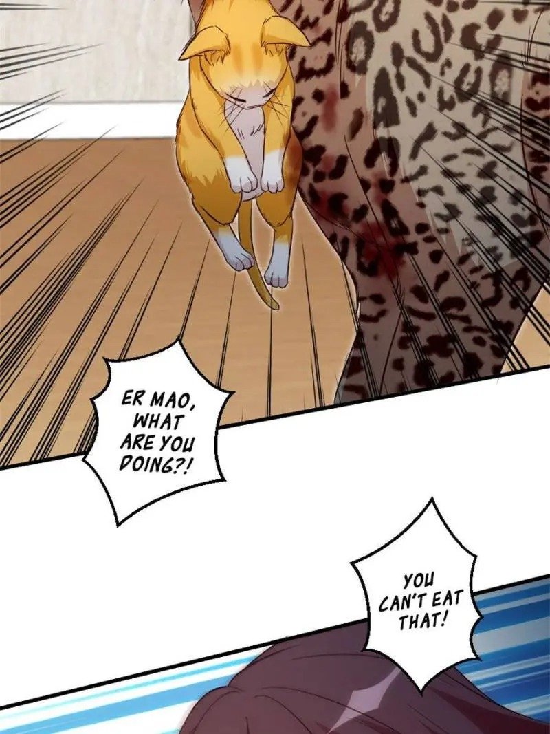 Page 4 of Chapter 188