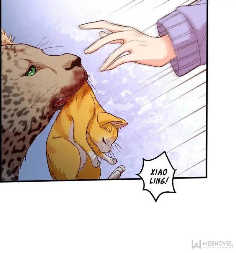 Page 6 of Chapter 188