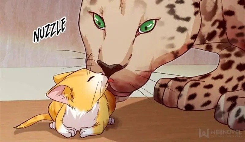 Page 21 of Chapter 188