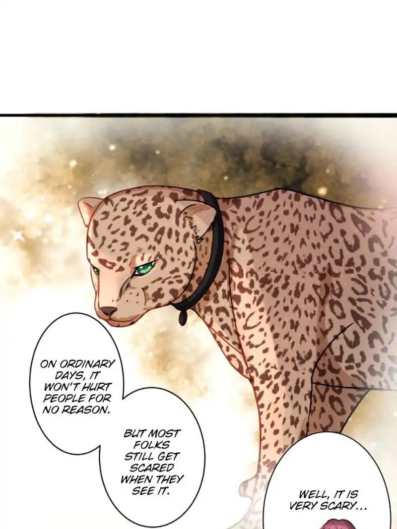 Page 61 of Chapter 19