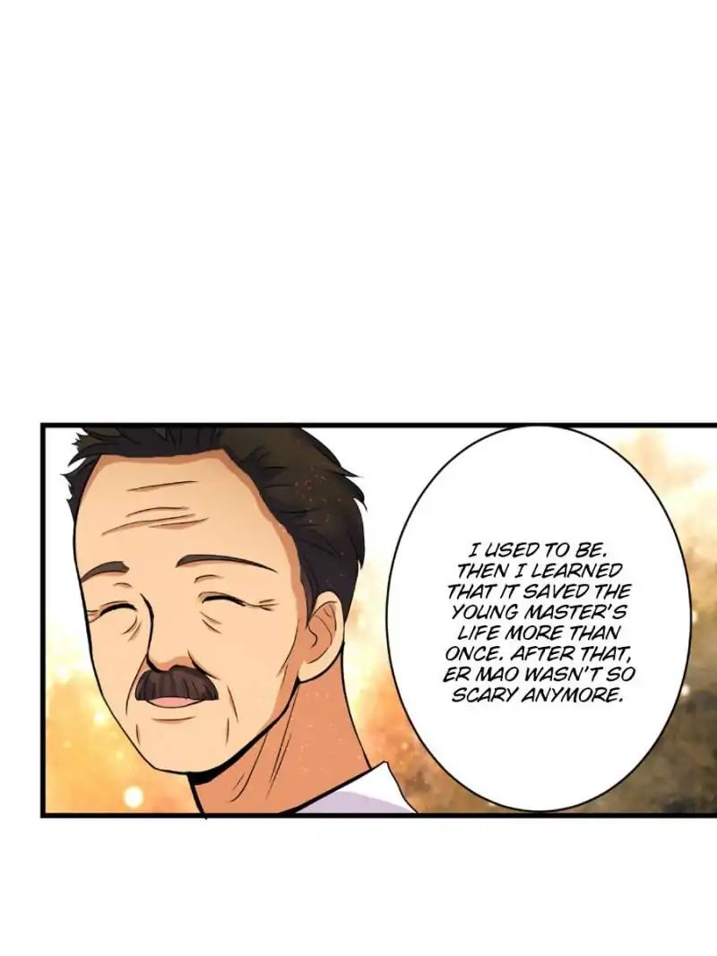 Page 63 of Chapter 19