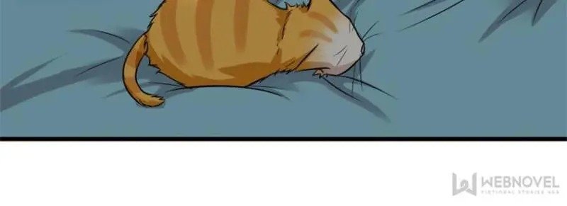Page 62 of Chapter 198