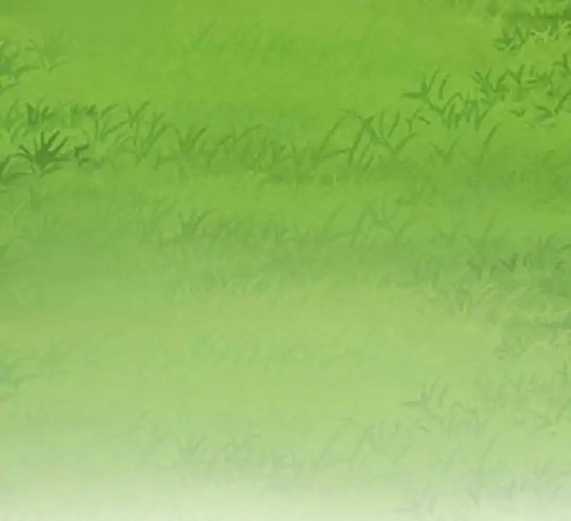 Page 41 of Chapter 51