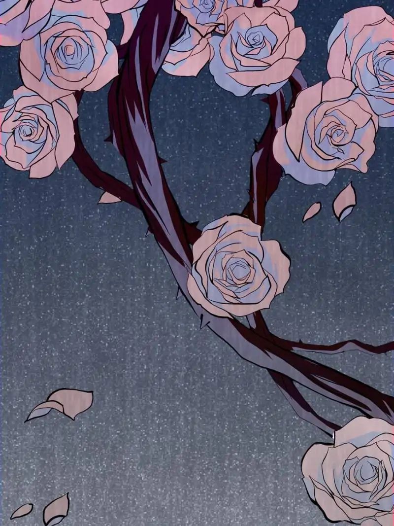 Page 5 of Chapter 55