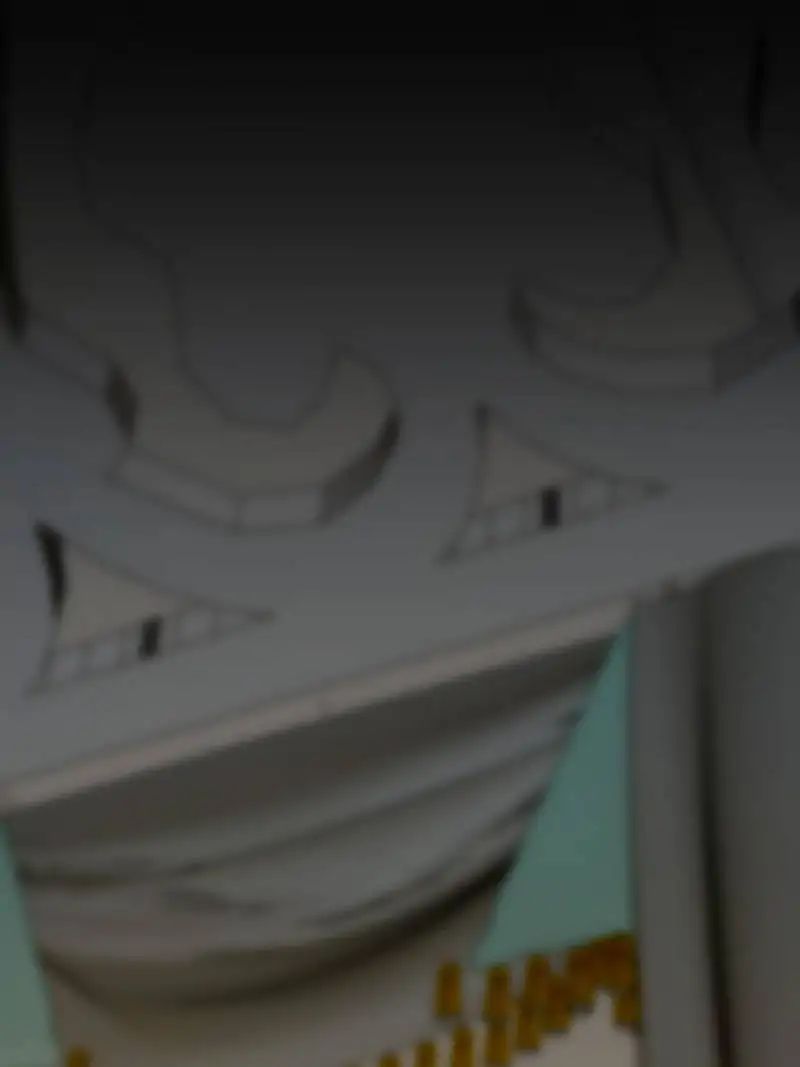 Page 15 of Chapter 64