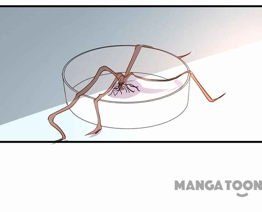 Page 20 of Chapter 42