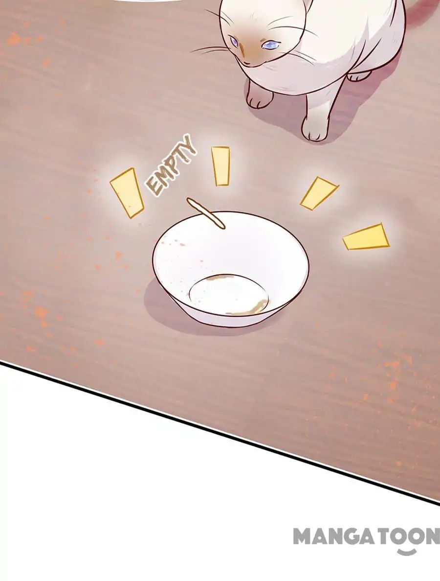 Page 31 of Chapter 7