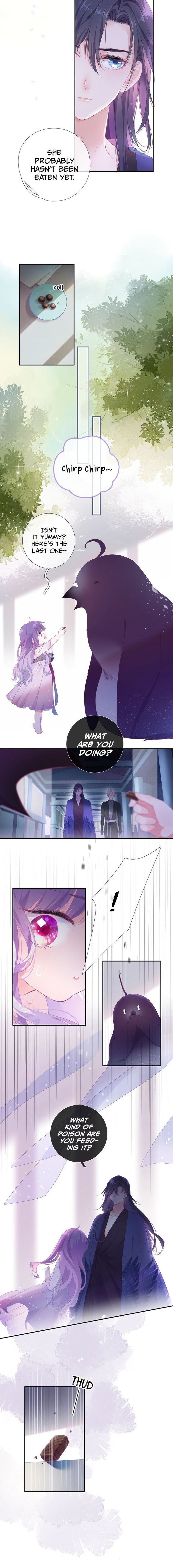 Page 6 of Chapter 3