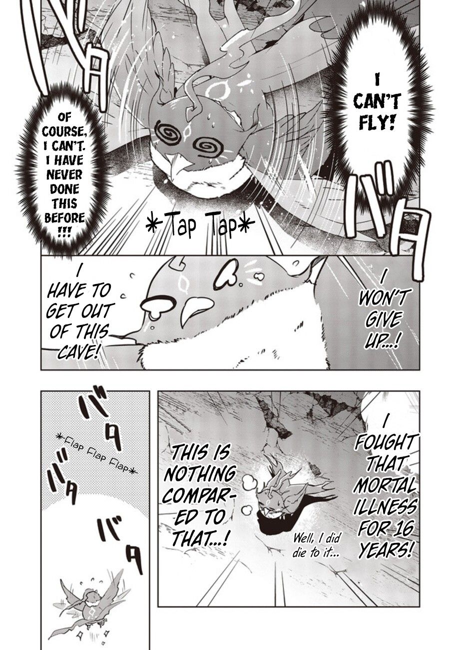 Page 12 of Chapter 2