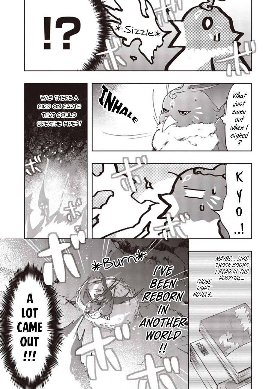 Page 16 of Chapter 2