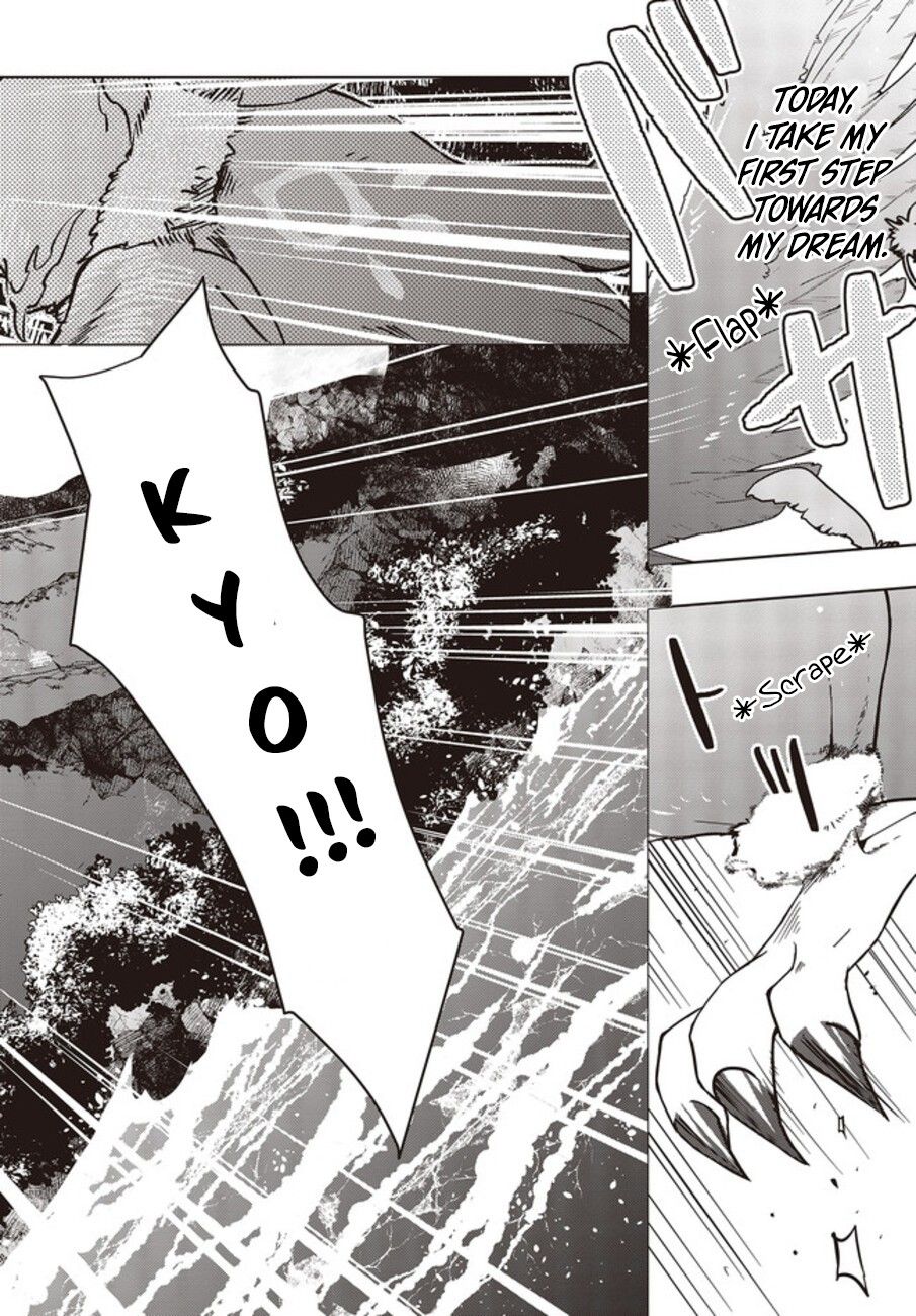 Page 19 of Chapter 2