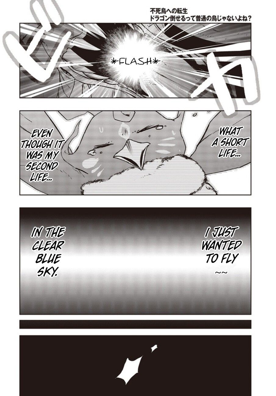 Page 25 of Chapter 2