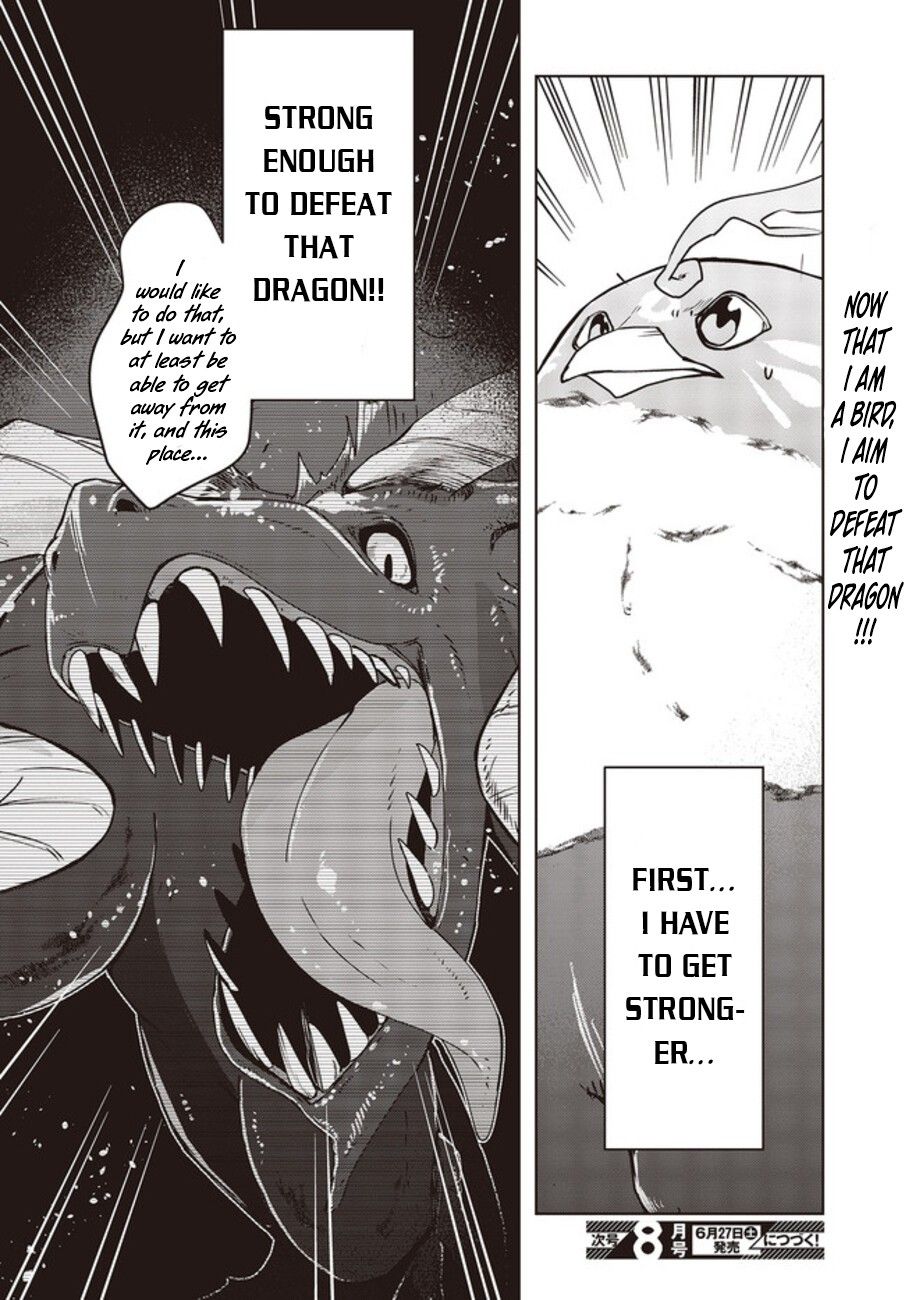 Page 27 of Chapter 2