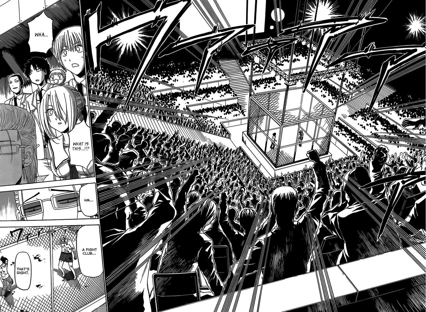 Page 17 of Chapter 161