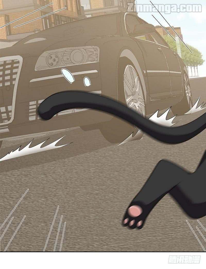 Page 33 of Chapter 119