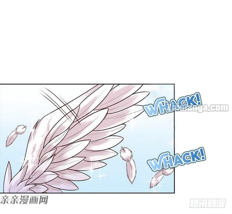 Page 41 of Chapter 81