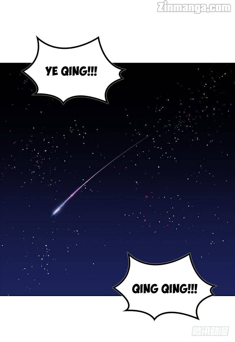 Page 43 of Chapter 95