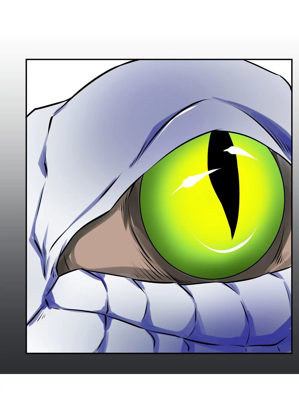 Page 11 of Chapter 5