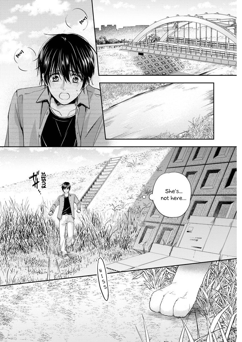 Page 5 of Chapter 15