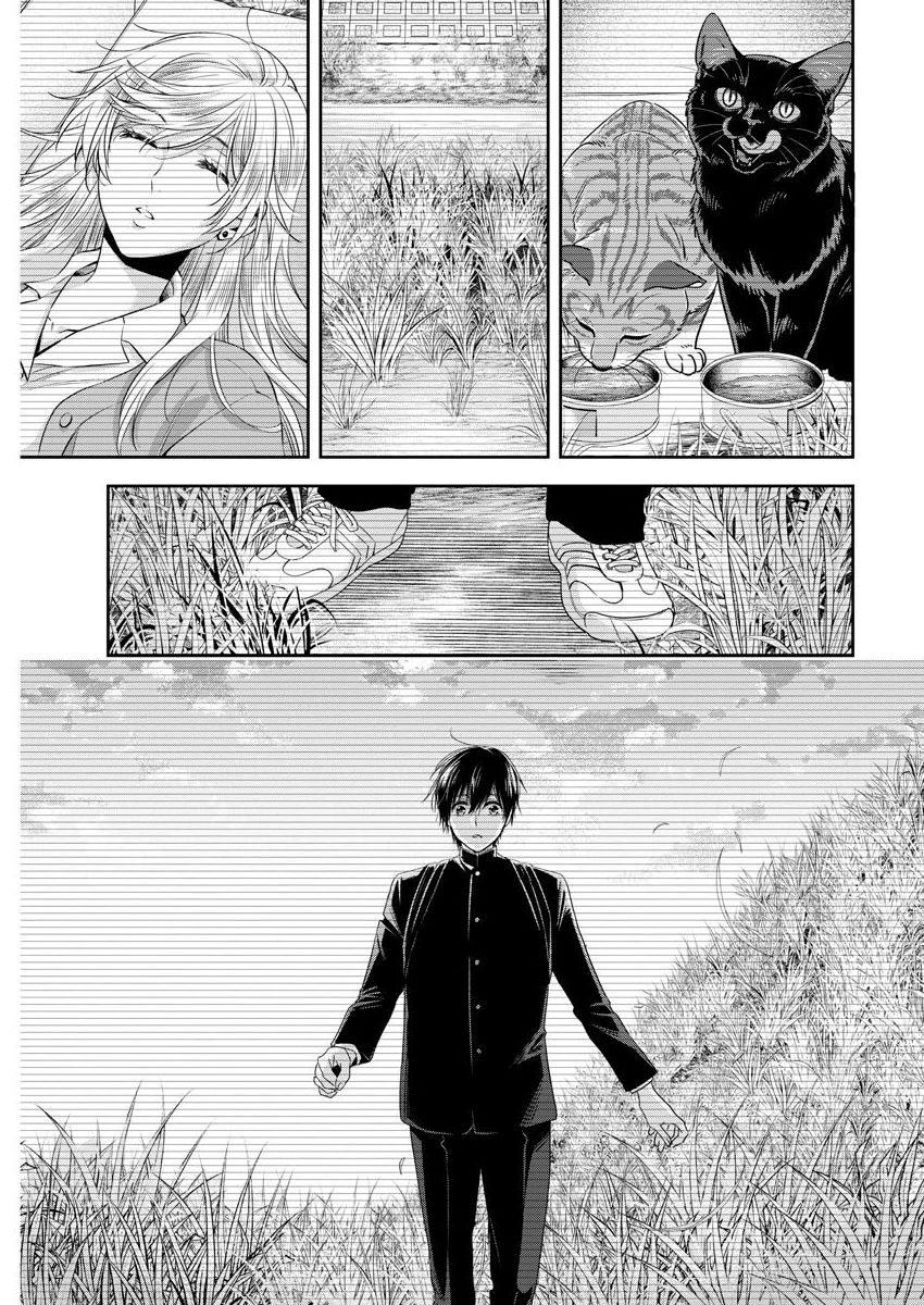 Page 12 of Chapter 21