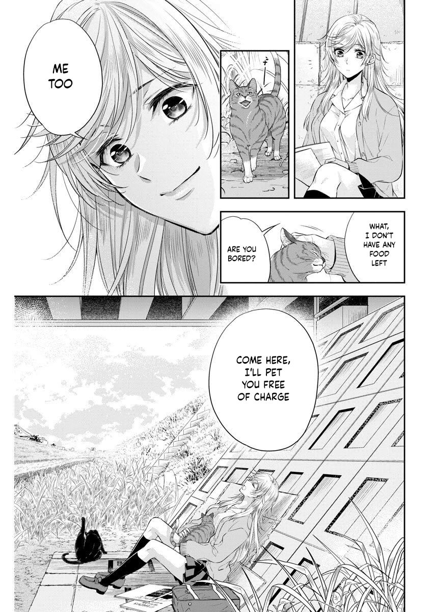 Page 20 of Chapter 7