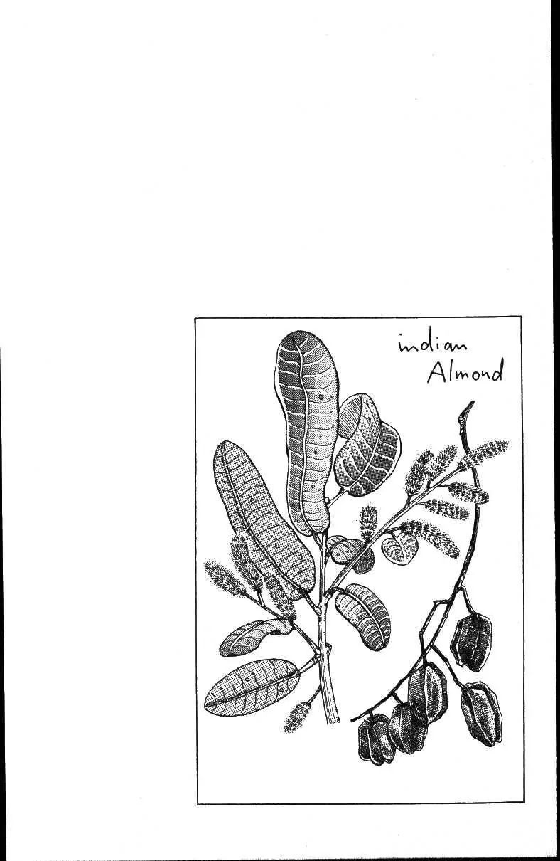Page 21 of Chapter 157
