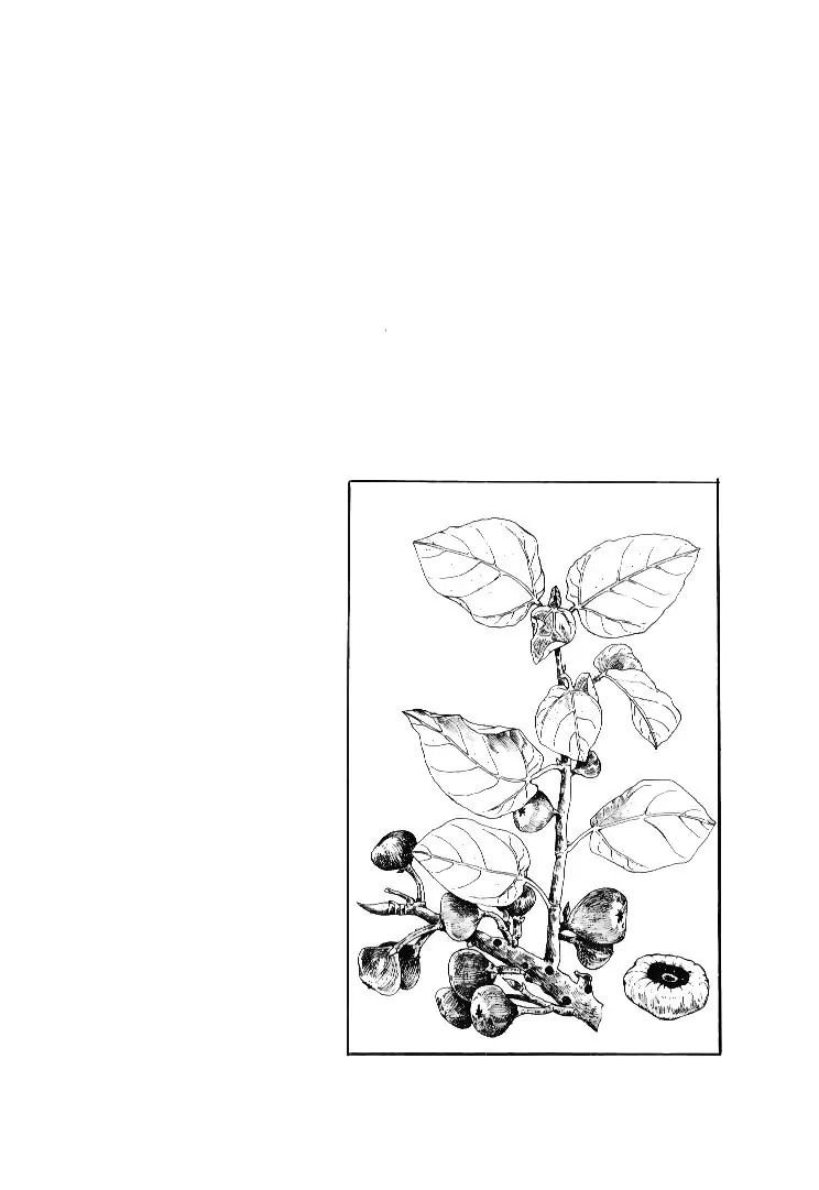 Page 20 of Chapter 165