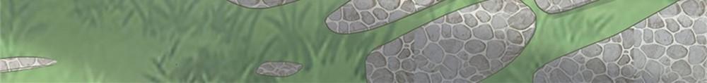 Page 9 of Chapter 13