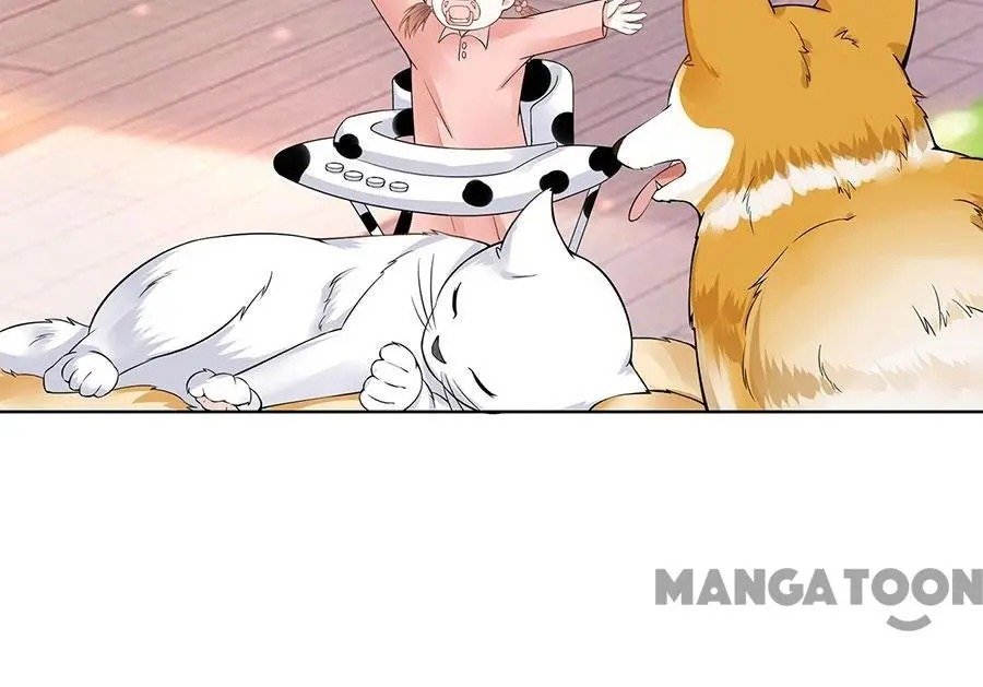 Page 34 of Chapter 36