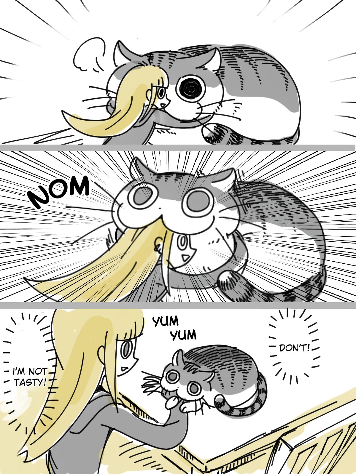 Page 2 of Chapter 3