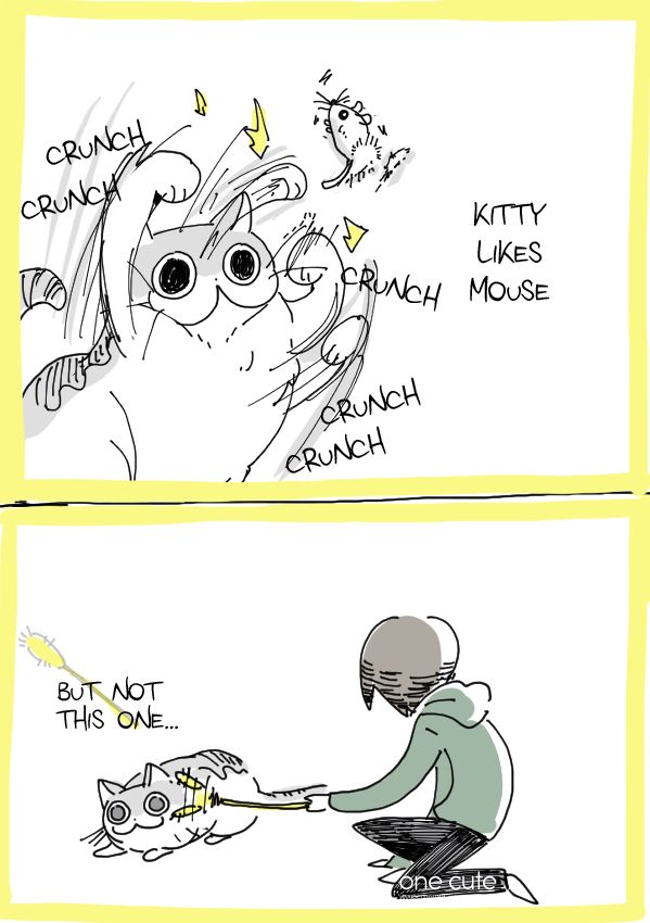 Page 1 of Chapter 6.5