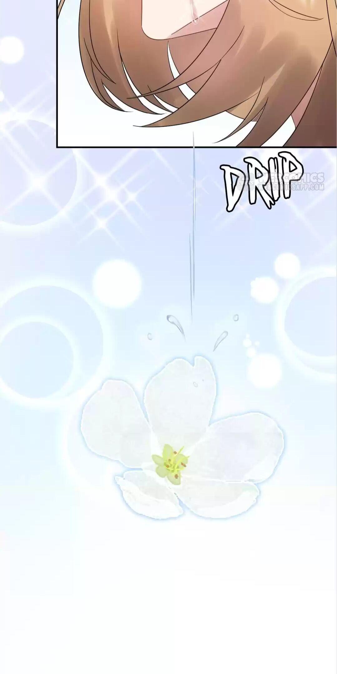 Page 12 of Chapter 75