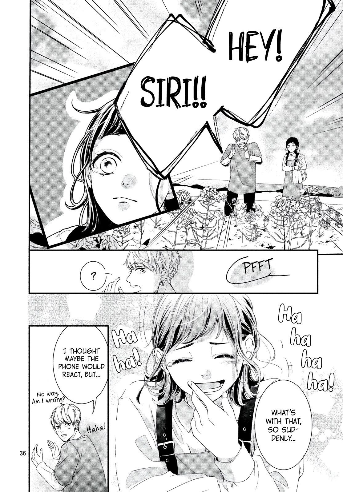 Page 36 of Chapter 2