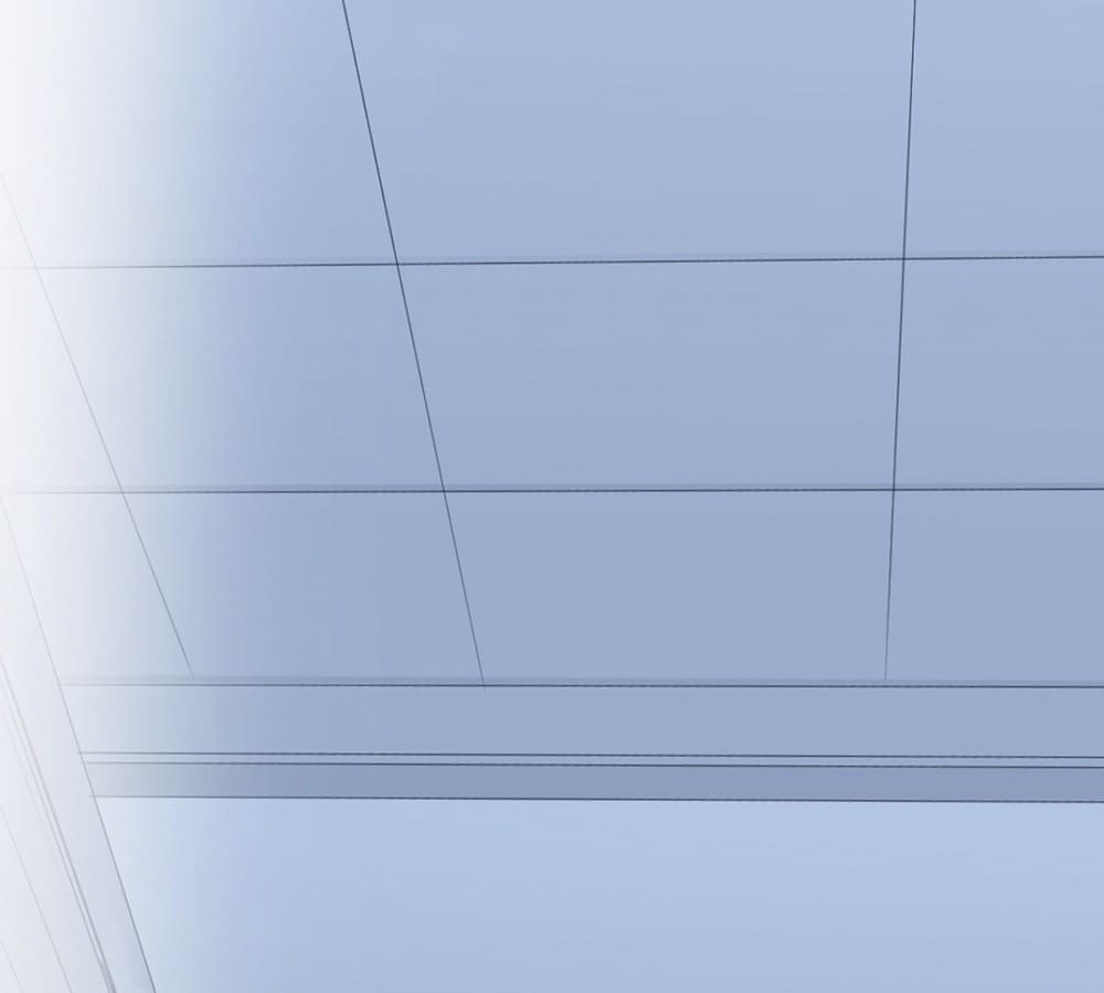 Page 3 of Chapter 21