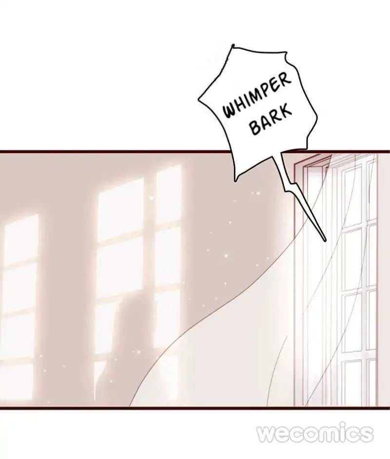 Page 15 of Chapter 10