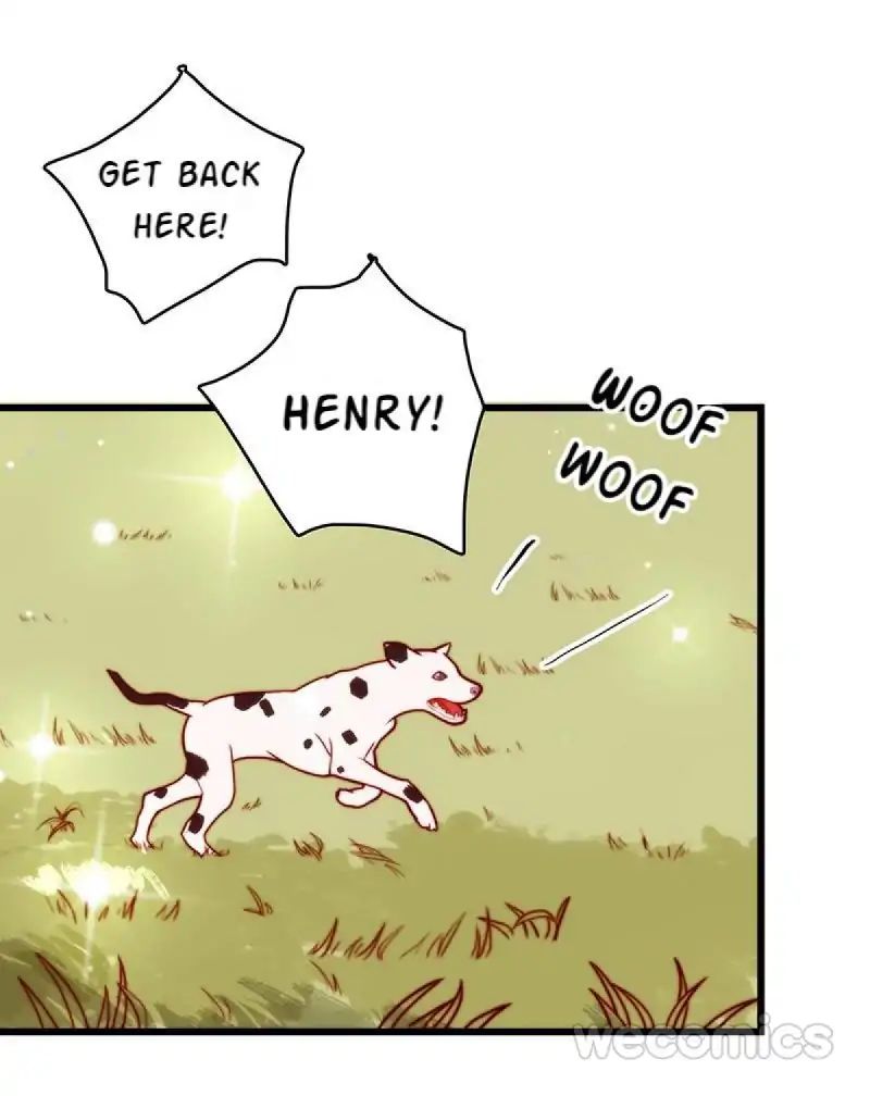 Page 17 of Chapter 10