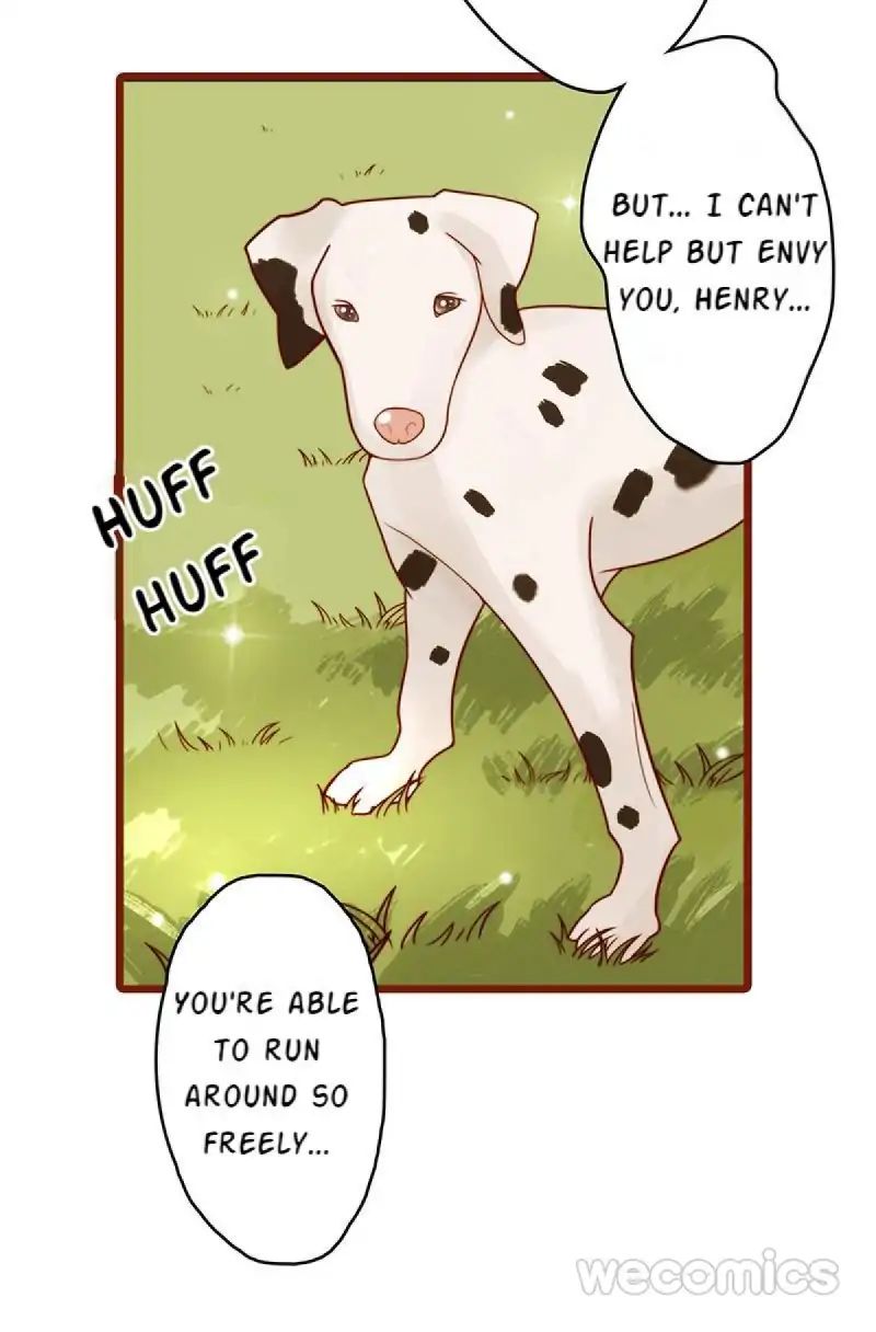 Page 19 of Chapter 10