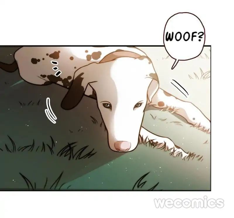 Page 32 of Chapter 10