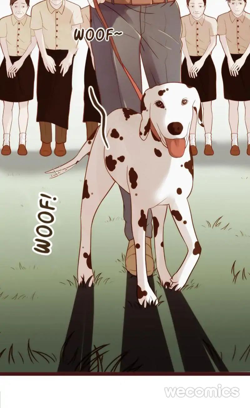 Page 37 of Chapter 10