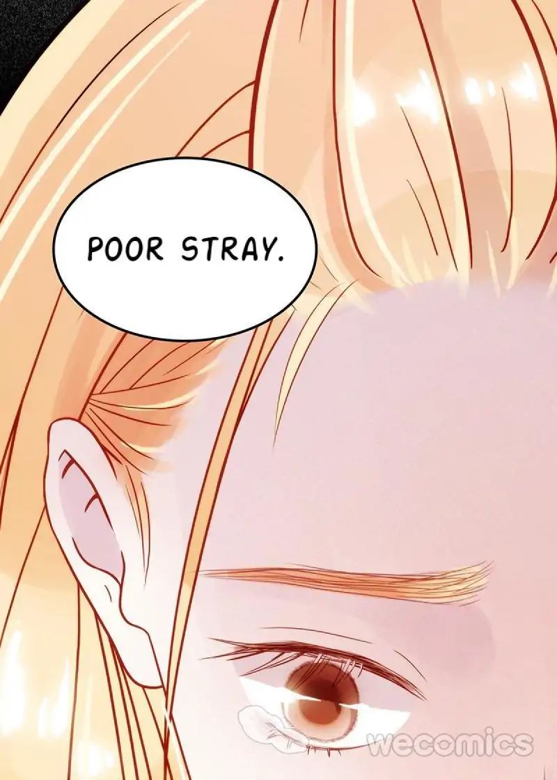 Page 28 of Chapter 11