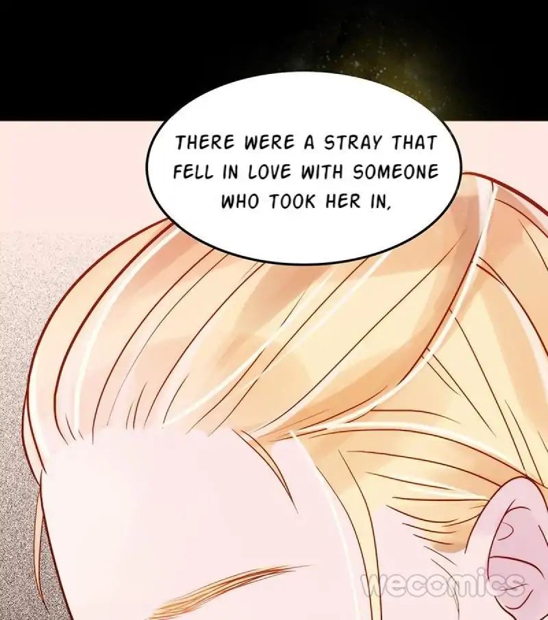 Page 36 of Chapter 11